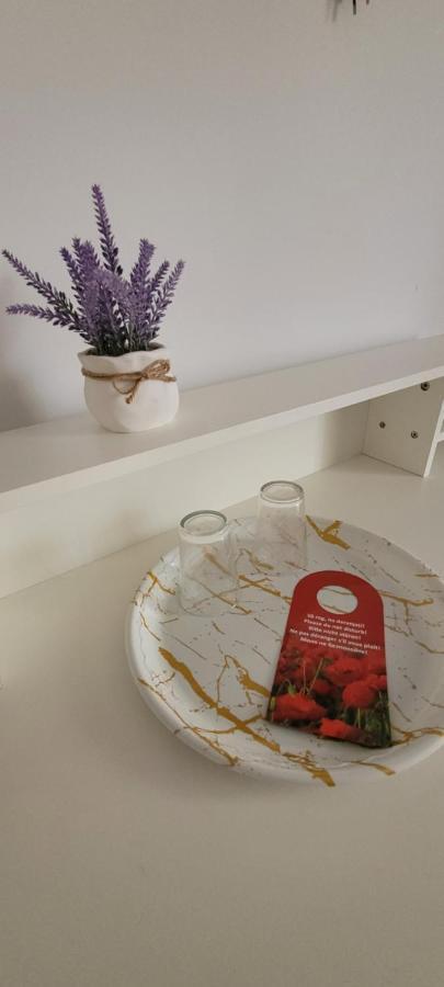 Casa Domneasca Hotel Giurgiu Buitenkant foto